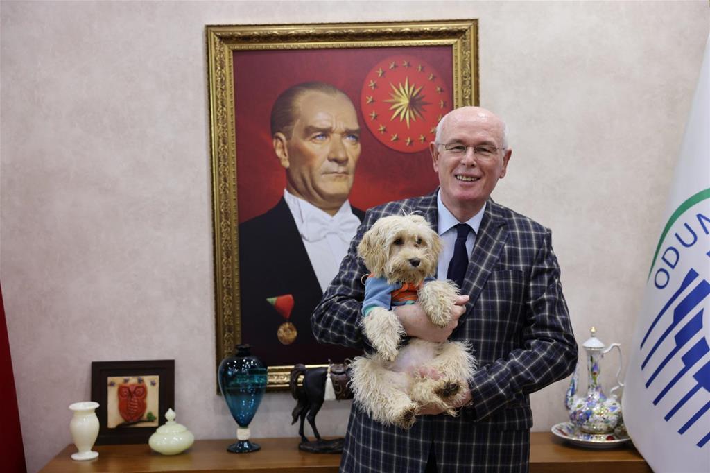 Kazım Kurt’tan Dünya Sokak Hayvanları Günü’nde anlamlı mesaj: “Sahiplenmek, Bir Canın Hayatına Dokunmaktır”